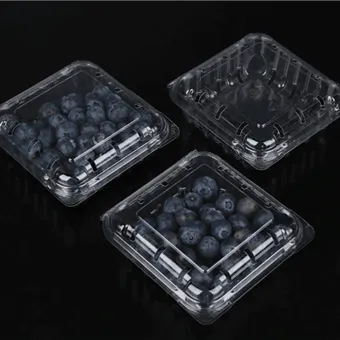 Áfonya kagylóhéjú csomagolás frissen vágott gyümölcs csomagolódoboz gyümölcscsomagolás áfonya kagylóhéjú gyümölcs konténer csomagolás